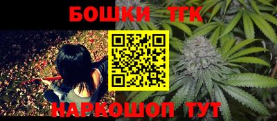 spice Новозыбков